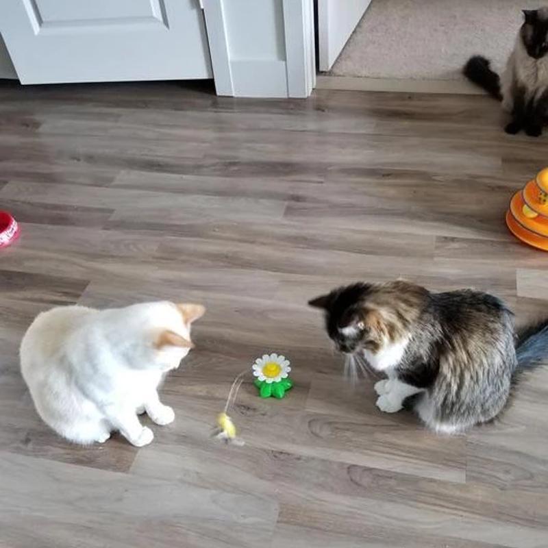 Engaging Cat Toy with Interactive Bird Design