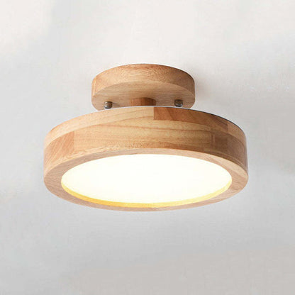 Contemporary LED Ceiling Light Fixture