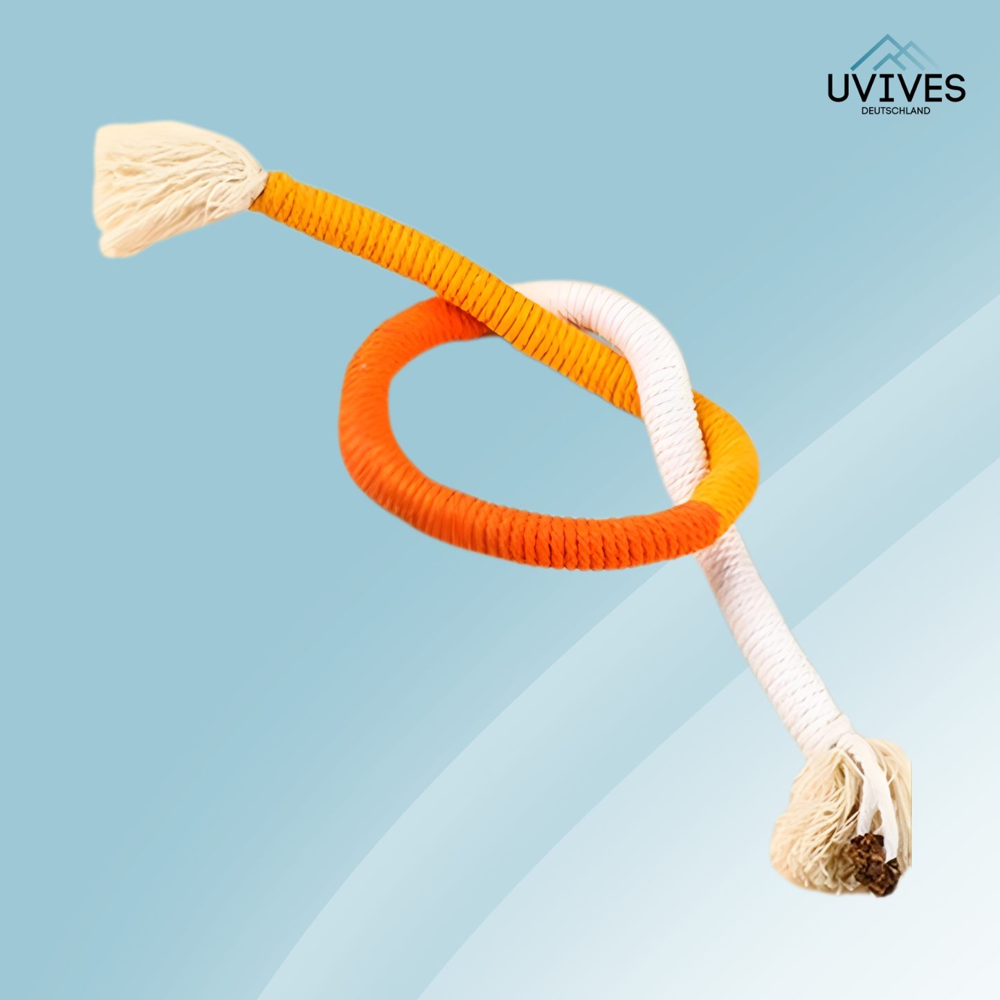 Keep Your Cat Happy and Active while Maintaining Dental Health