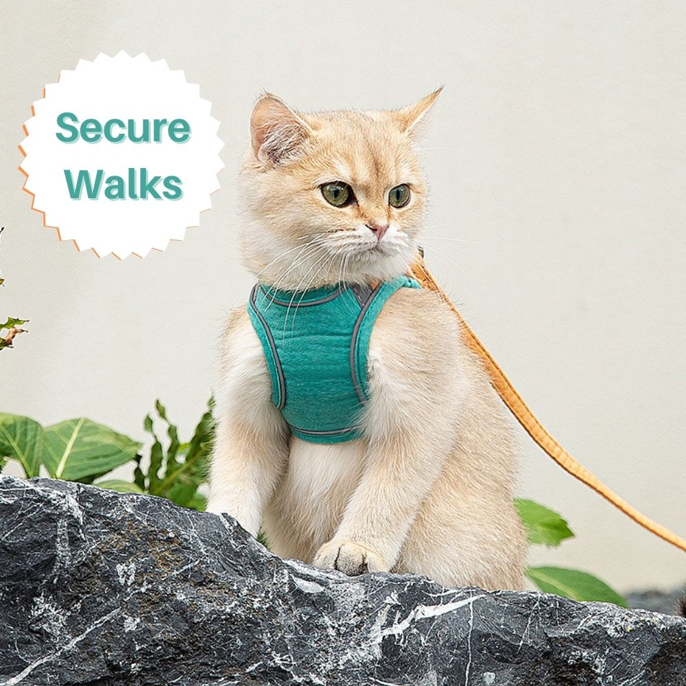 ExploreSafe Cat Harness and Leash Set