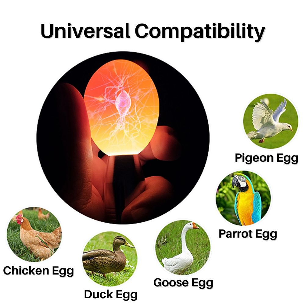 ClarityEgg Light Enhancer