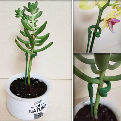 Elegant Stem Support for Thriving Plants
