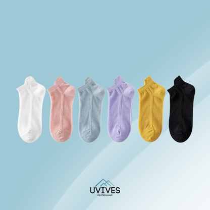 3+3 FREE | BareBreeze – Invisible, Lightweight, All-Day Freshness
