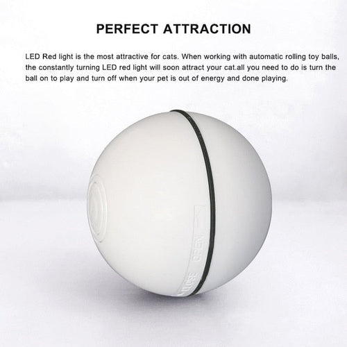 Interactive Smart Ball for Pets