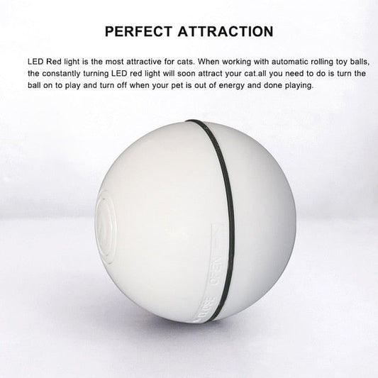 Interactive Smart Ball for Pets