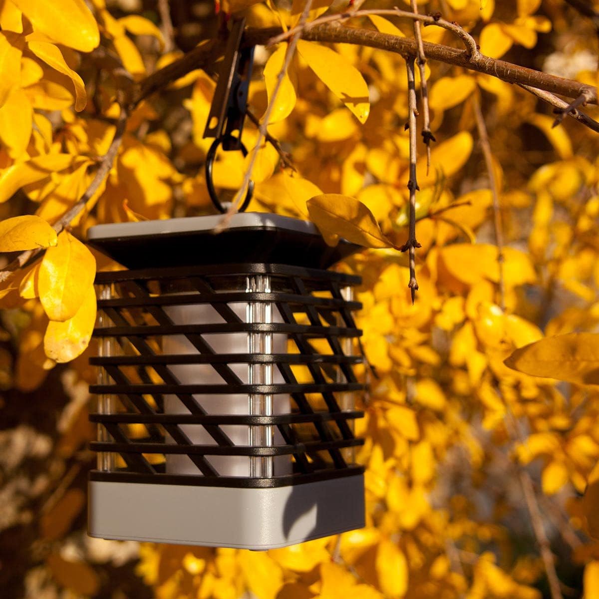 Effortless Solar Lighting for All-Night Savings
