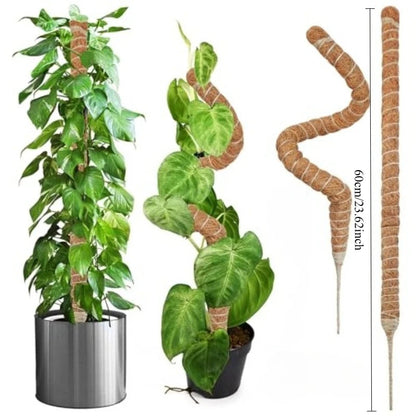 Large Coconut Plant Support Stick | Flexible Coir Support | Great for Monstera & Climbing Plants