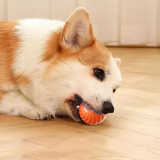 Interactive Dog Play Ball for Engaging Fetch Games