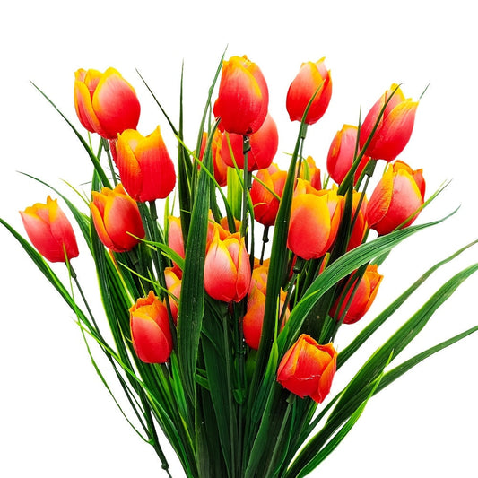 3+3 FREE | Bright, Colorfast Tulips for Effortless Year-Round Color