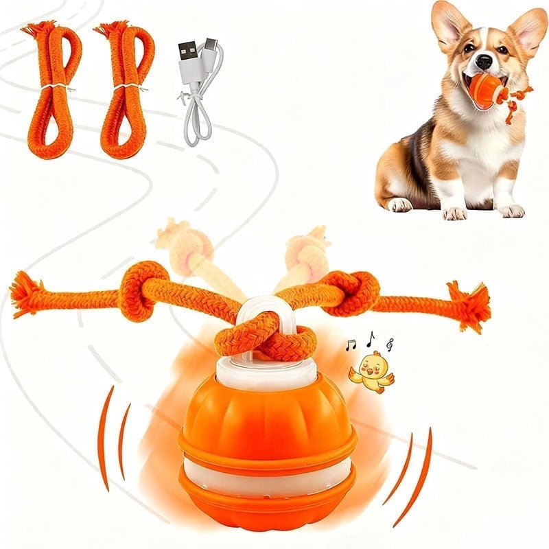 Keep Your Dog Mentally Engaged and Energetically Happy