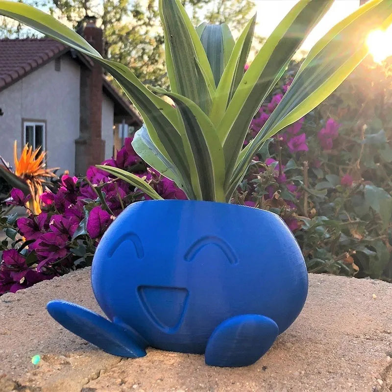 Brighten Any Room with Fun and Healthy Plant Display