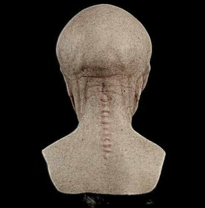 Realistic Halloween Costume Accessory - Alien Mask