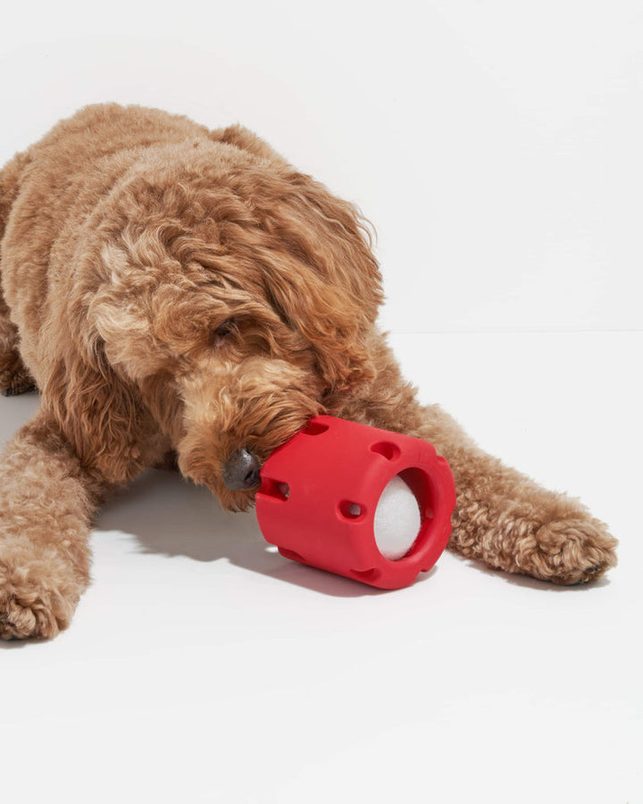 Enhance Your Dog's Energy, Dental Health, and Happiness