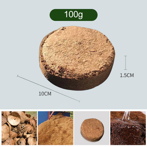 Prevents Moisture Loss and Effortlessly Supports Plant Growth