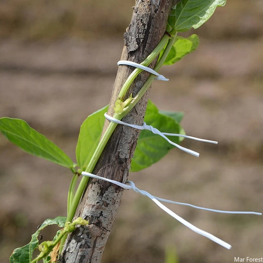 100 Reusable Plant Ties | Coated Iron Wire for Gardening