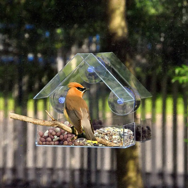 Window Bird Feeder with 3 Suction Cups | Clear Acrylic for Birdwatching | Open Design | Easy to Fill & Clean
