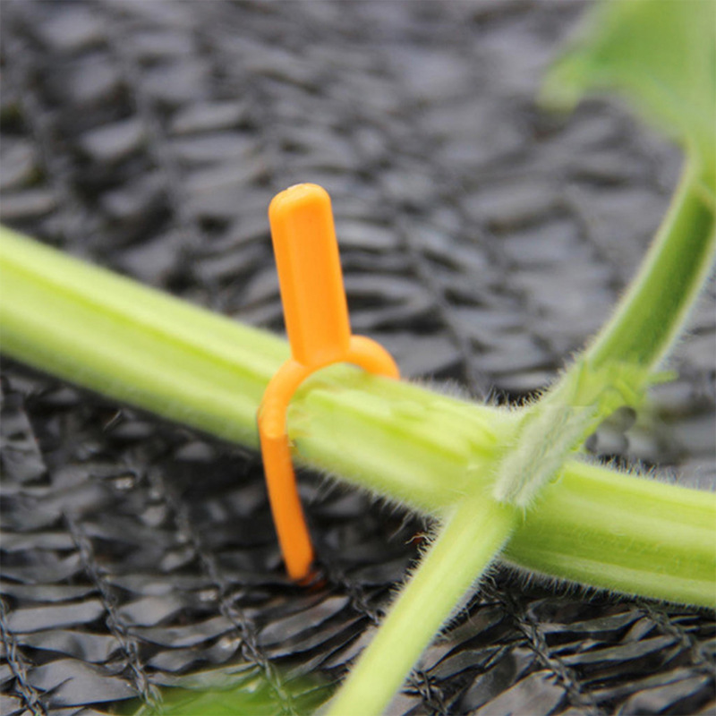 25+25 FREE | EcoStretch - Keep Plants Upright and Healthy All Season