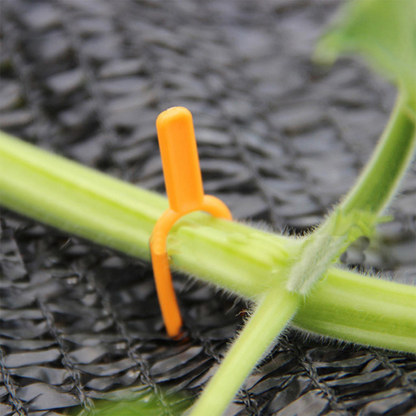 25+25 FREE | EcoStretch - Keep Plants Upright and Healthy All Season