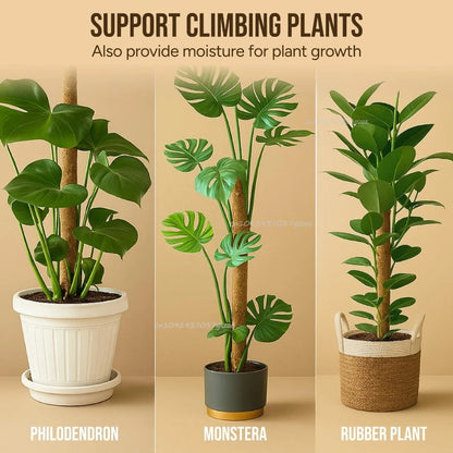Large Coconut Plant Support Stick | Flexible Coir Support | Great for Monstera & Climbing Plants