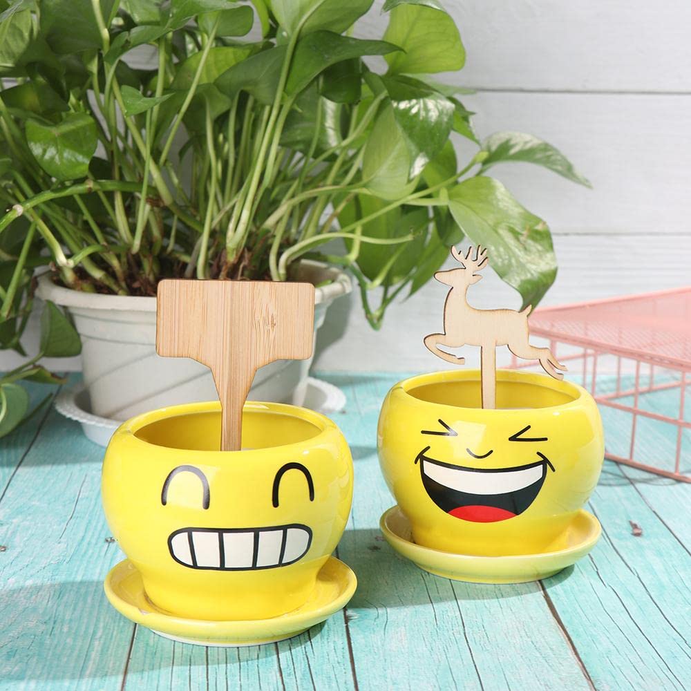 Reusable Wooden Plant Care Labels – Never Forget Your Plants