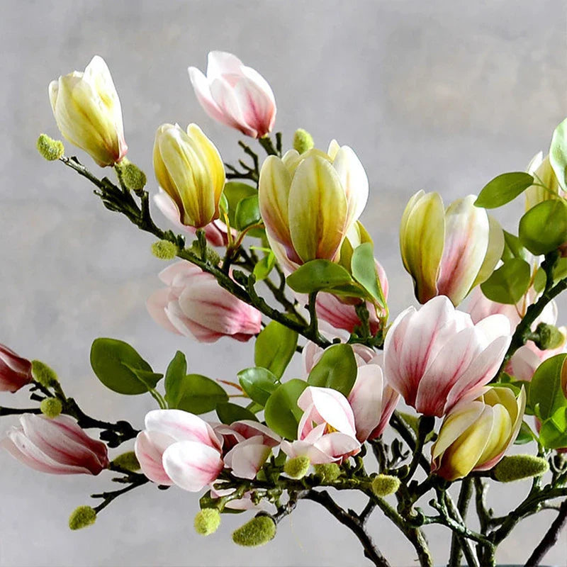 Effortless Year-Round Freshness Without Water or Sunlight