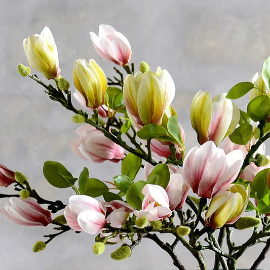 Effortless Year-Round Freshness Without Water or Sunlight