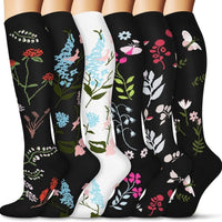 Flower Plants
