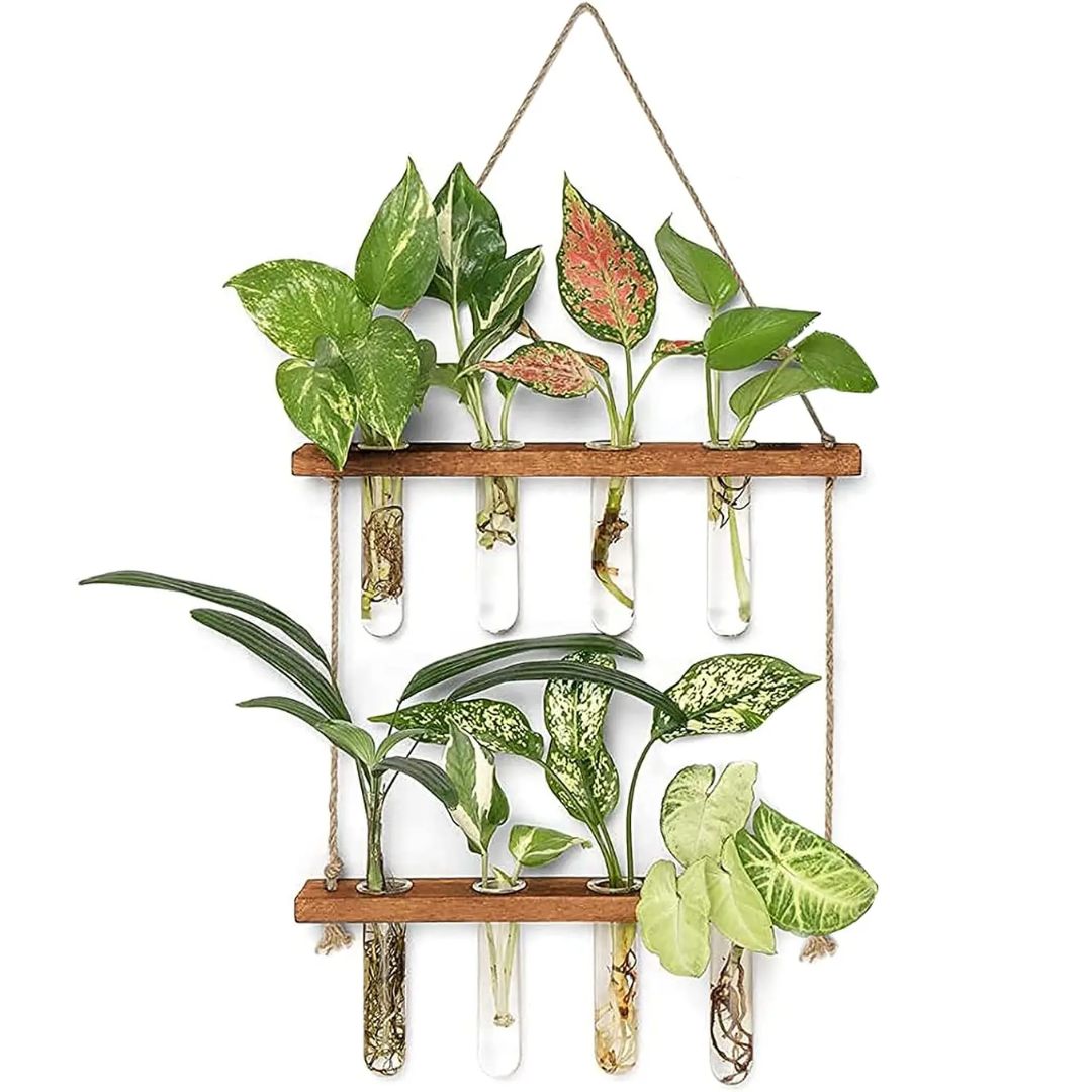 Transform Walls into Fresh, Space-Saving Greenery