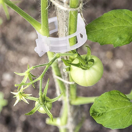 25 Free with Purchase | Plant Clips - Plastic Plant Holders
