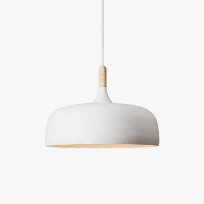 Pendant Light in Acorn Shape