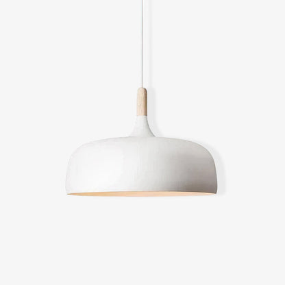 Pendant Light in Acorn Shape