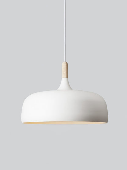 Pendant Light in Acorn Shape