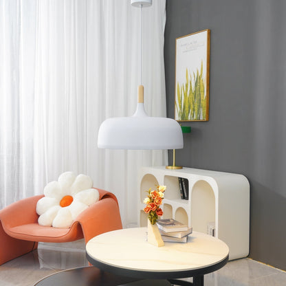 Pendant Light in Acorn Shape