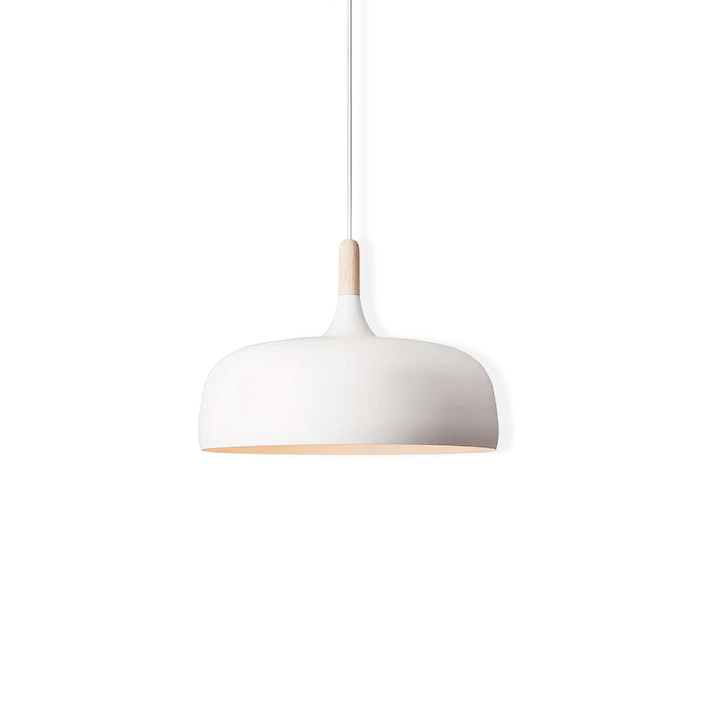 Pendant Light in Acorn Shape