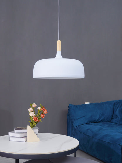 Pendant Light in Acorn Shape