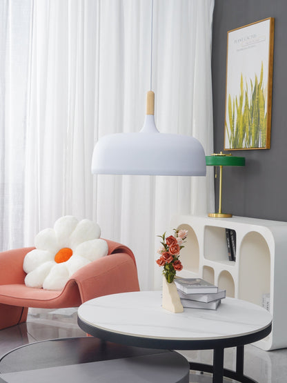 Pendant Light in Acorn Shape