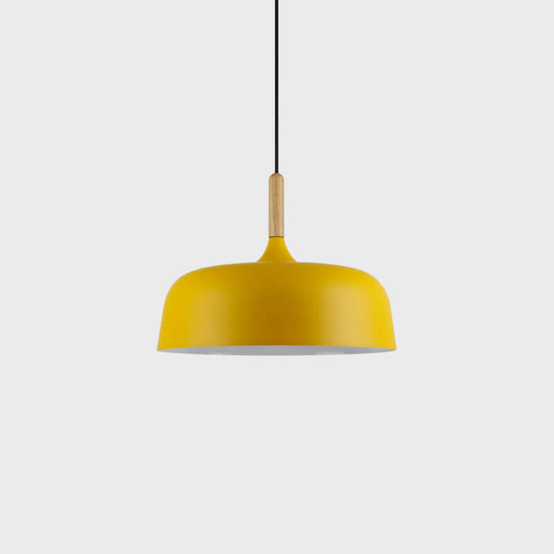 Pendant Light in Acorn Shape