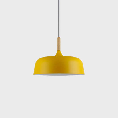 Pendant Light in Acorn Shape