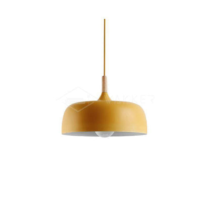 Pendant Light in Acorn Shape