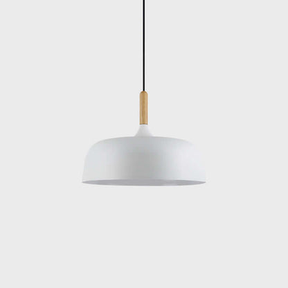 Pendant Light in Acorn Shape
