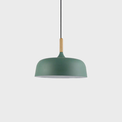 Pendant Light in Acorn Shape