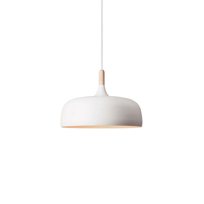 Pendant Light in Acorn Shape