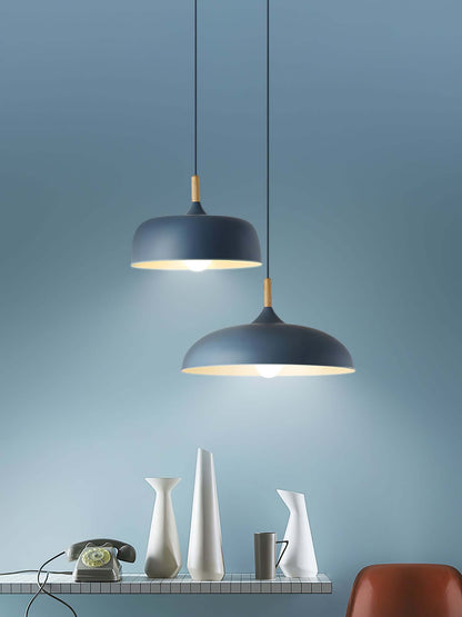 Pendant Light in Acorn Shape
