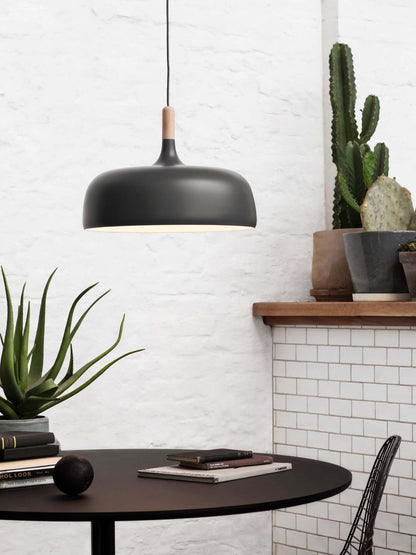 Pendant Light in Acorn Shape