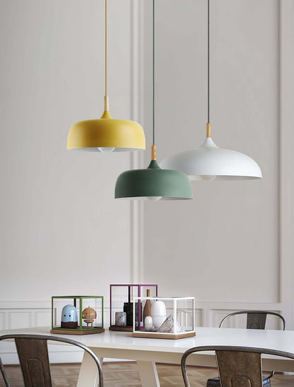 Pendant Light in Acorn Shape
