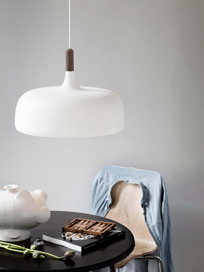 Pendant Light in Acorn Shape