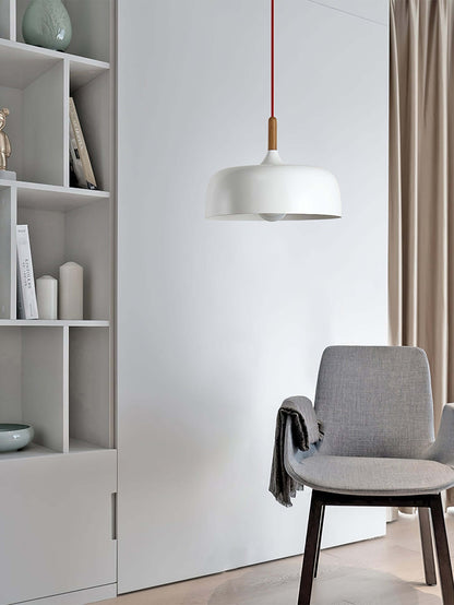 Pendant Light in Acorn Shape