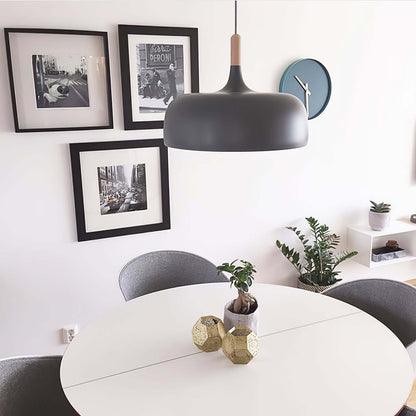 Pendant Light in Acorn Shape