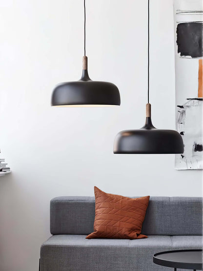 Pendant Light in Acorn Shape