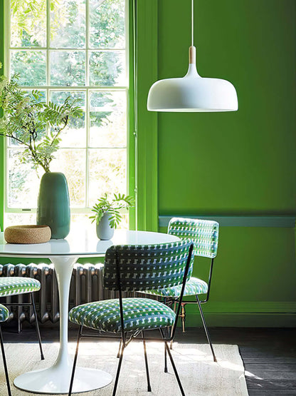 Pendant Light in Acorn Shape